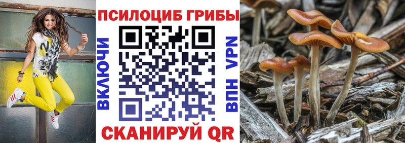 Галлюциногенные грибы MAGIC MUSHROOMS маркетплейс наркотические препараты Серпухов omg зеркало